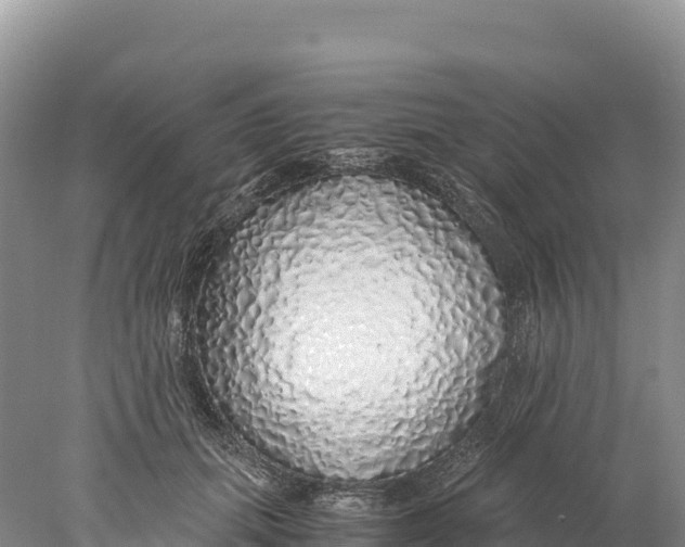 X0000077990655200611171756