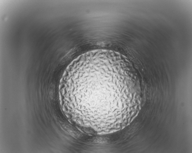 X0000077990656200611171756