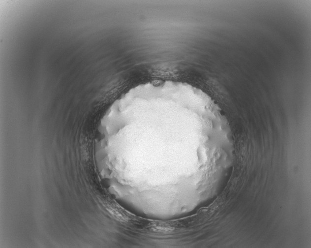 X0000077990658200611171756