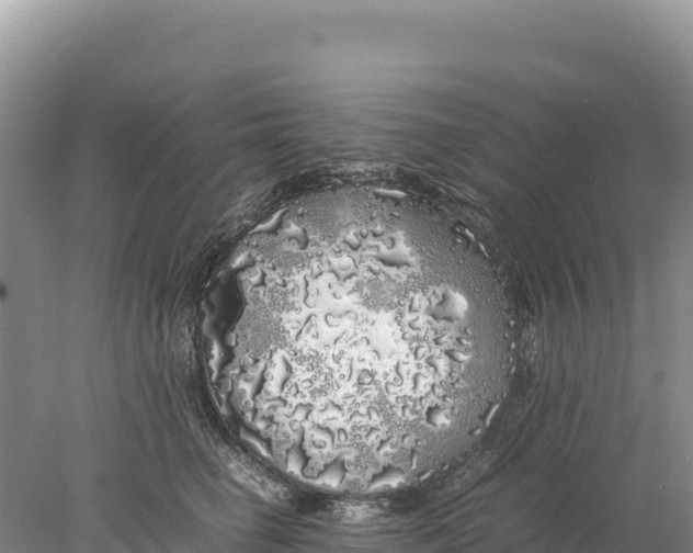 X0000077990662200611171756