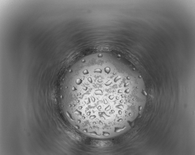 X0000077990663200611171756