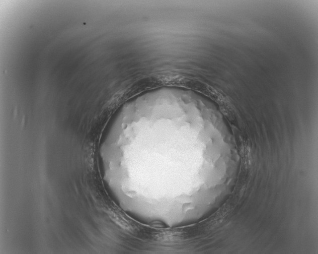 X0000077990664200611171756