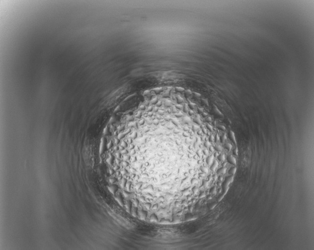 X0000077990666200611171756