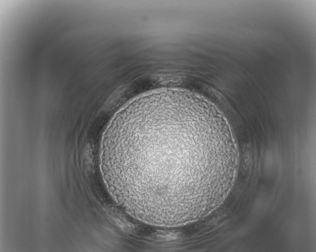 X0000077990667200611171756