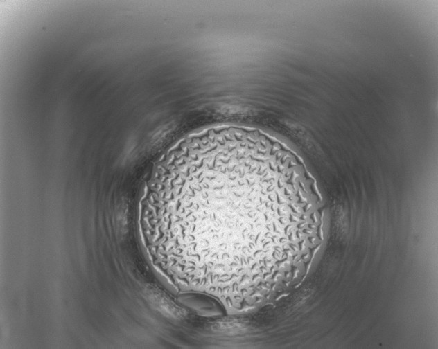 X0000077990668200611171756