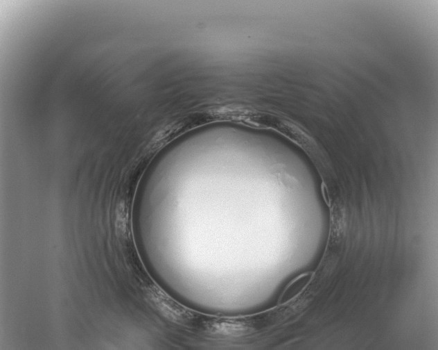 X0000077990669200611171756