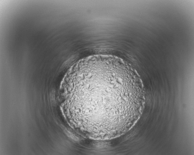 X0000077990670200611171756