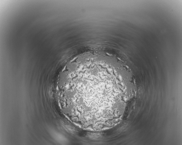 X0000077990671200611171756