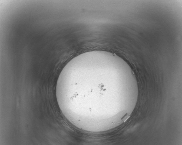 X0000077990672200611171756