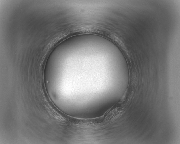 X0000077990673200611171755