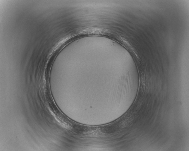 X0000077990674200611171755