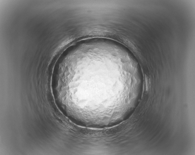 X0000077990675200611171755