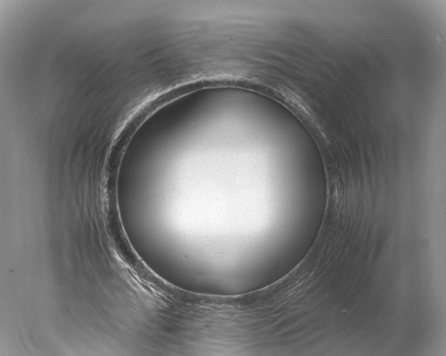 X0000077990676200611171755