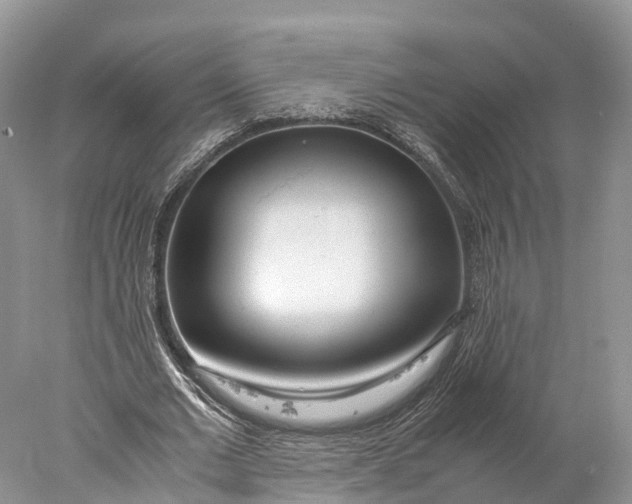 X0000077990677200611171755