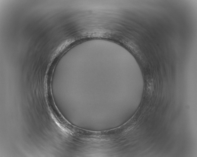 X0000077990678200611171755