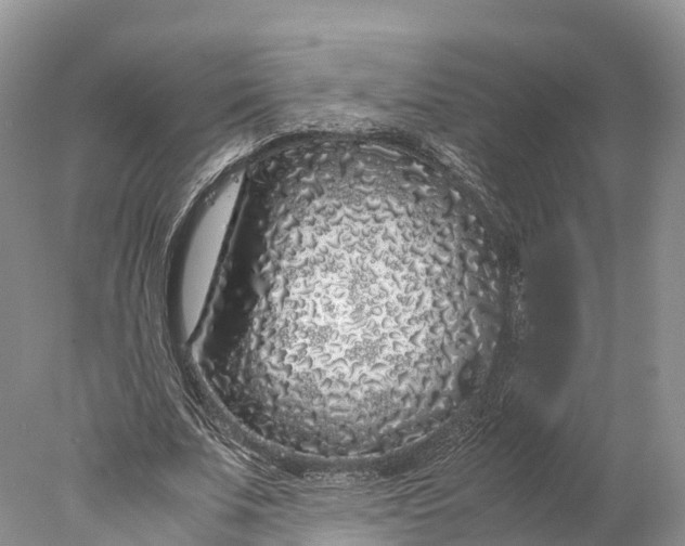 X0000077990679200611171755