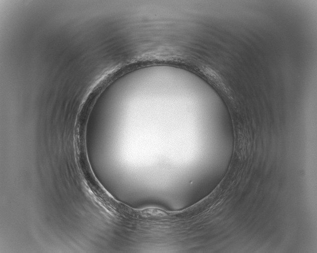 X0000077990680200611171755