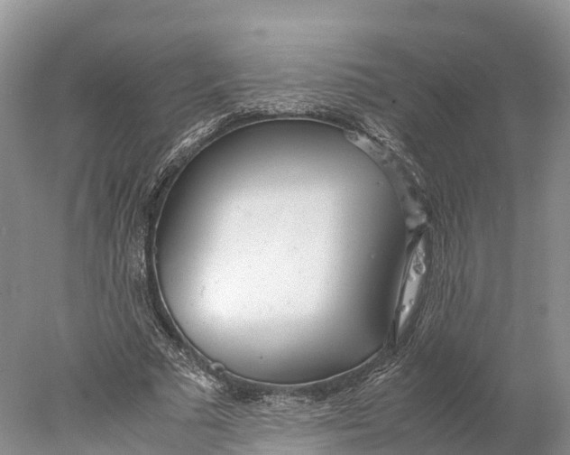 X0000077990681200611171755