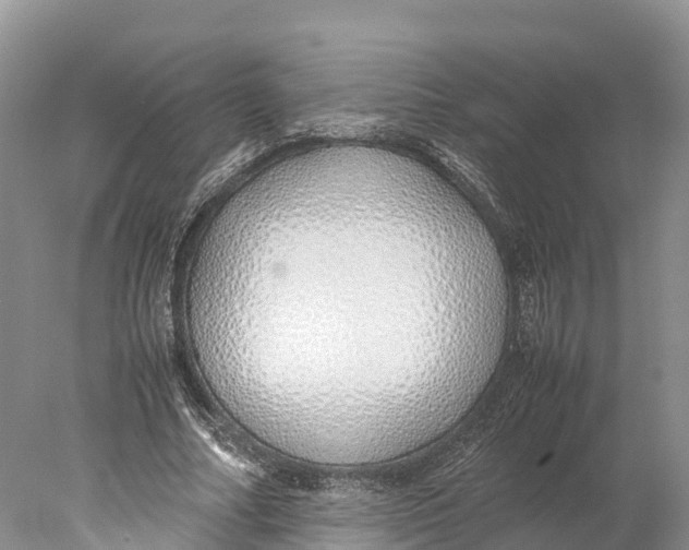 X0000077990682200611171755