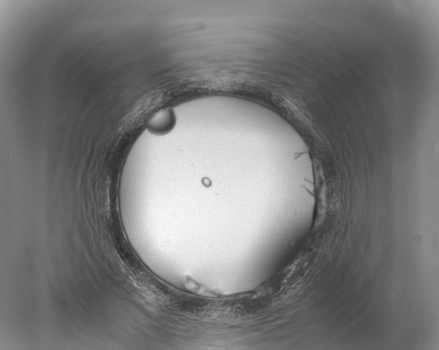 X0000077990685200611171755