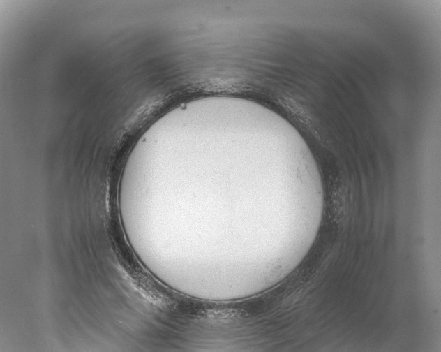 X0000077990686200611171755