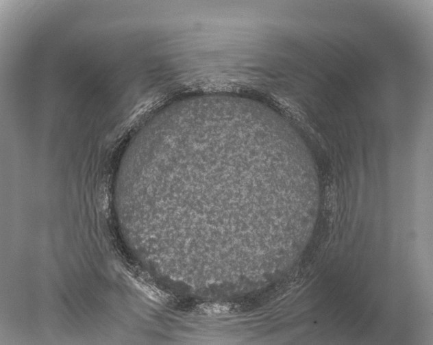 X0000077990687200611171755