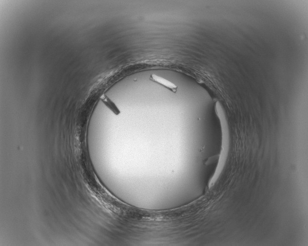 X0000077990688200611171755