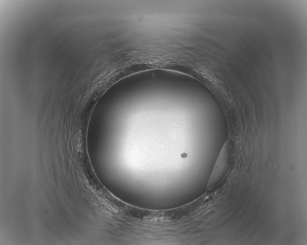 X0000077990689200611171755