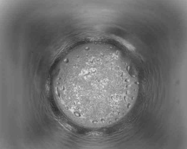 X0000077990691200611171755