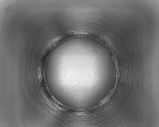 X0000077990692200611171755