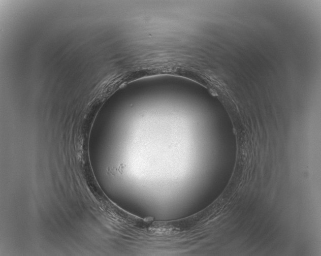 X0000077990693200611171755