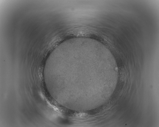 X0000077990695200611171755