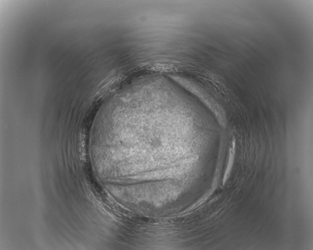 X0000077990696200611171755