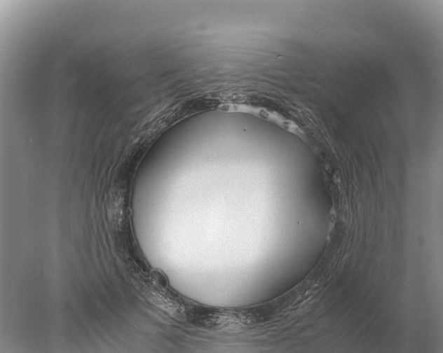 X0000077990697200611171755