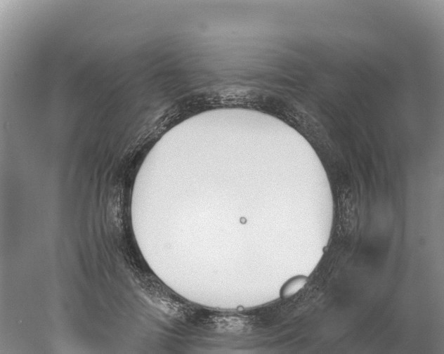 X0000077990698200611171755