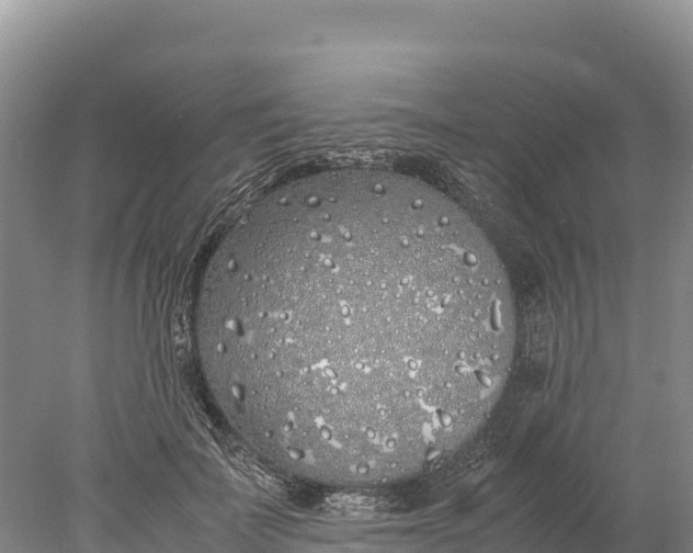 X0000077990699200611171755