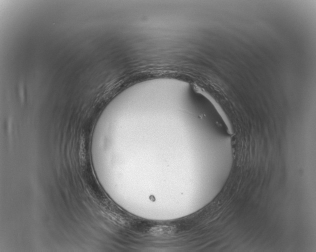 X0000077990700200611171755