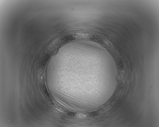 X0000077990701200611171755