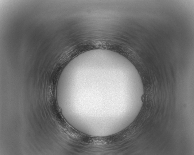 X0000077990702200611171755