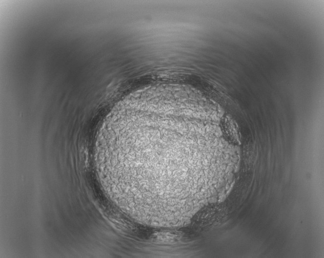 X0000077990703200611171755