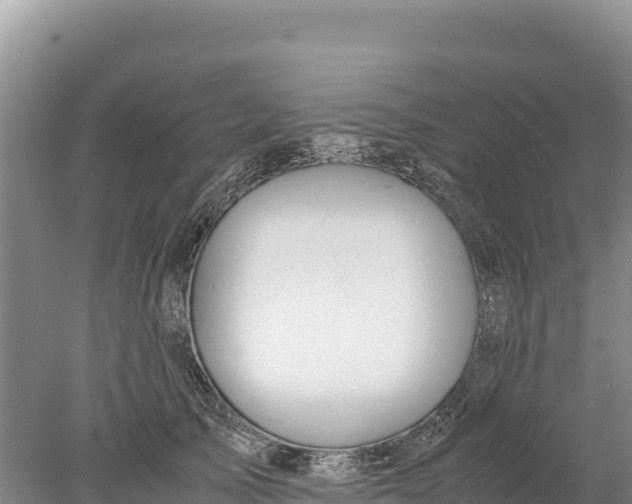 X0000077990705200611171755