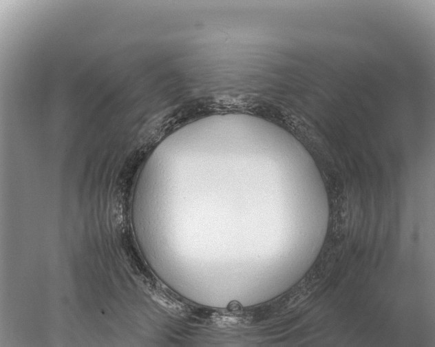 X0000077990706200611171755