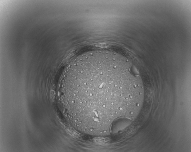 X0000077990707200611171755