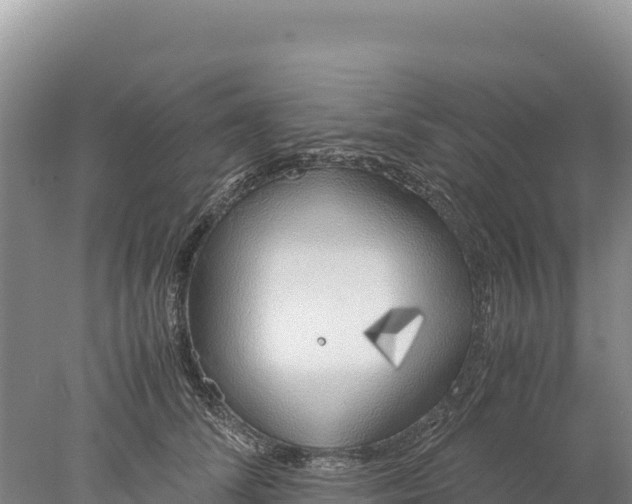 X0000077990708200611171755