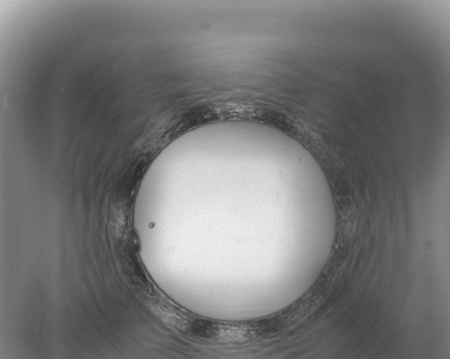 X0000077990709200611171754