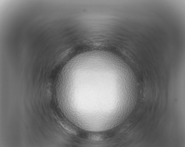 X0000077990710200611171754