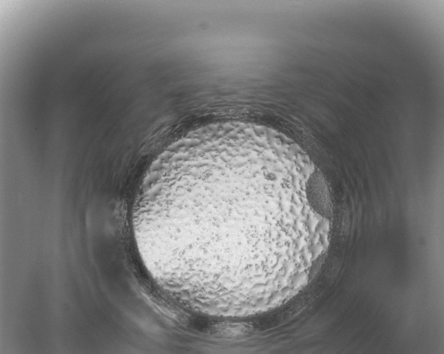 X0000077990711200611171754