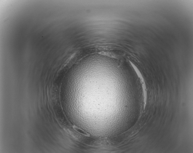 X0000077990712200611171754