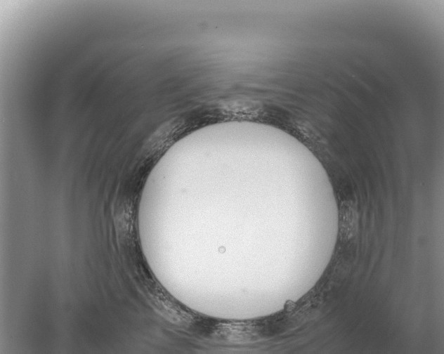 X0000077990713200611171754