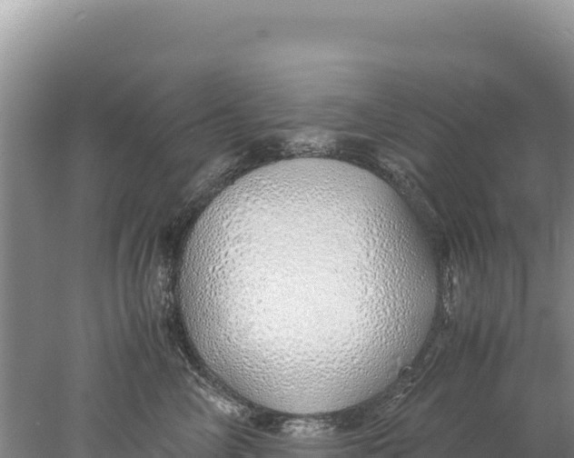 X0000077990714200611171754